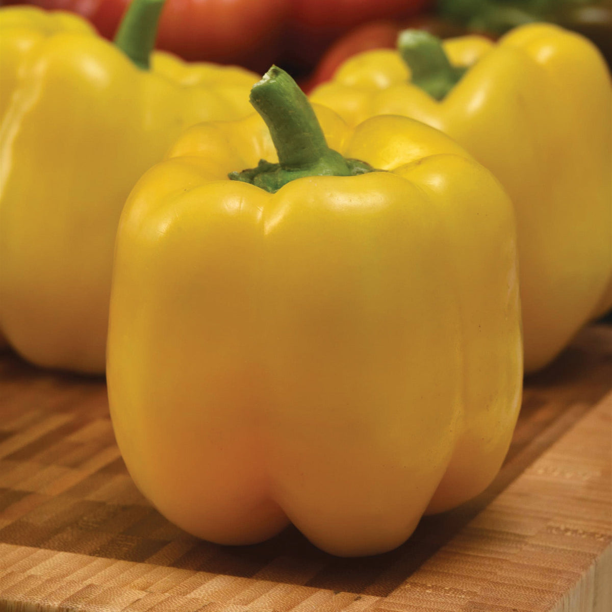 Pepper, Sweet, Trailblazer Hybrid