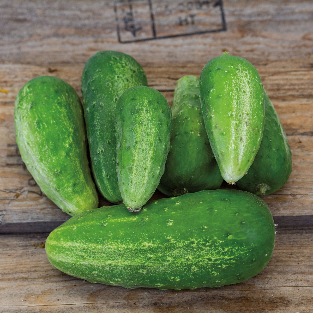 Cucumber, Homemade Pickles