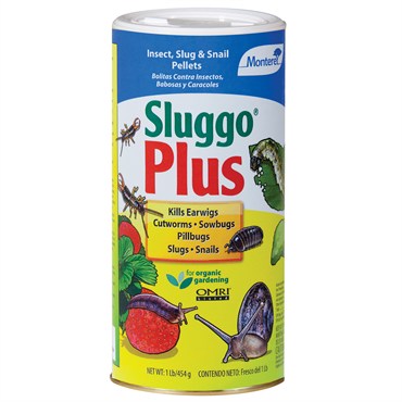Sluggo Plus 1 Lb